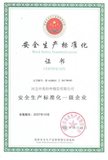 安全标准.jpg